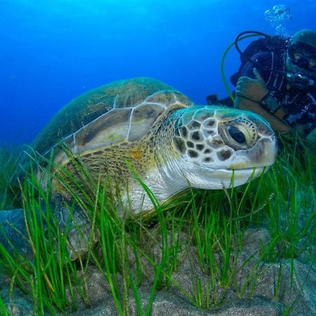 219 Las Eras On The Sea المظهر الخارجي الصورة