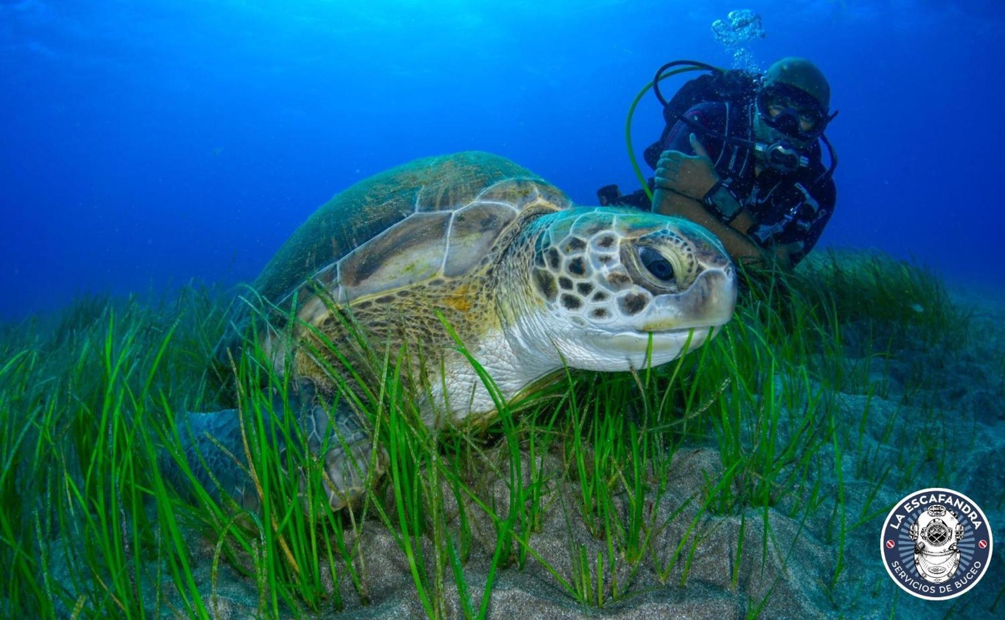 219 Las Eras On The Sea المظهر الخارجي الصورة